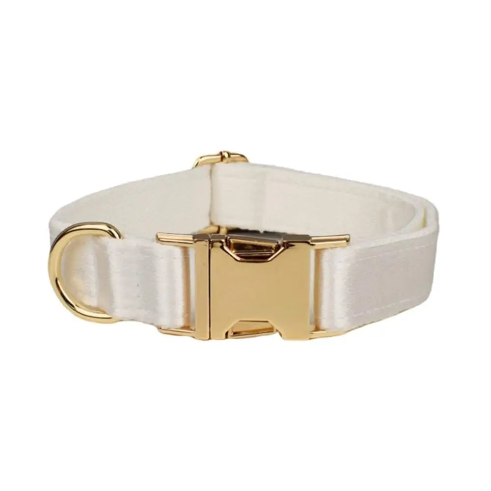 Personalized Dog Collar with Name Tag - view 7